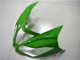 Carena Moto Kawasaki ZX6R 2013-2018 - Verde Bianco Nero Lucido