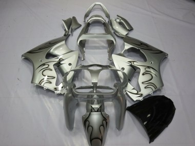 Carene Moto Kawasaki ZX6R 2000-2002 - Argento Nero Fiamma Sconto