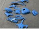 Carena Moto BMW S1000RR 2023-2024 - Lucido Blu