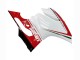Carena Moto Ducati 1199 2011-2014 - Bianco Rosso Verde Nero Lucido