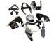 Carena Moto Kawasaki ZX9R 2002-2003 - Argento Nero Lucido Mostro Elf