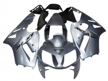 Carena Moto Kawasaki ZX12R 2000-2001 - Argento Sconto